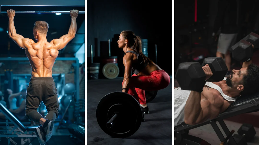 Treino Fullbody: conceitos e aplicação na prática